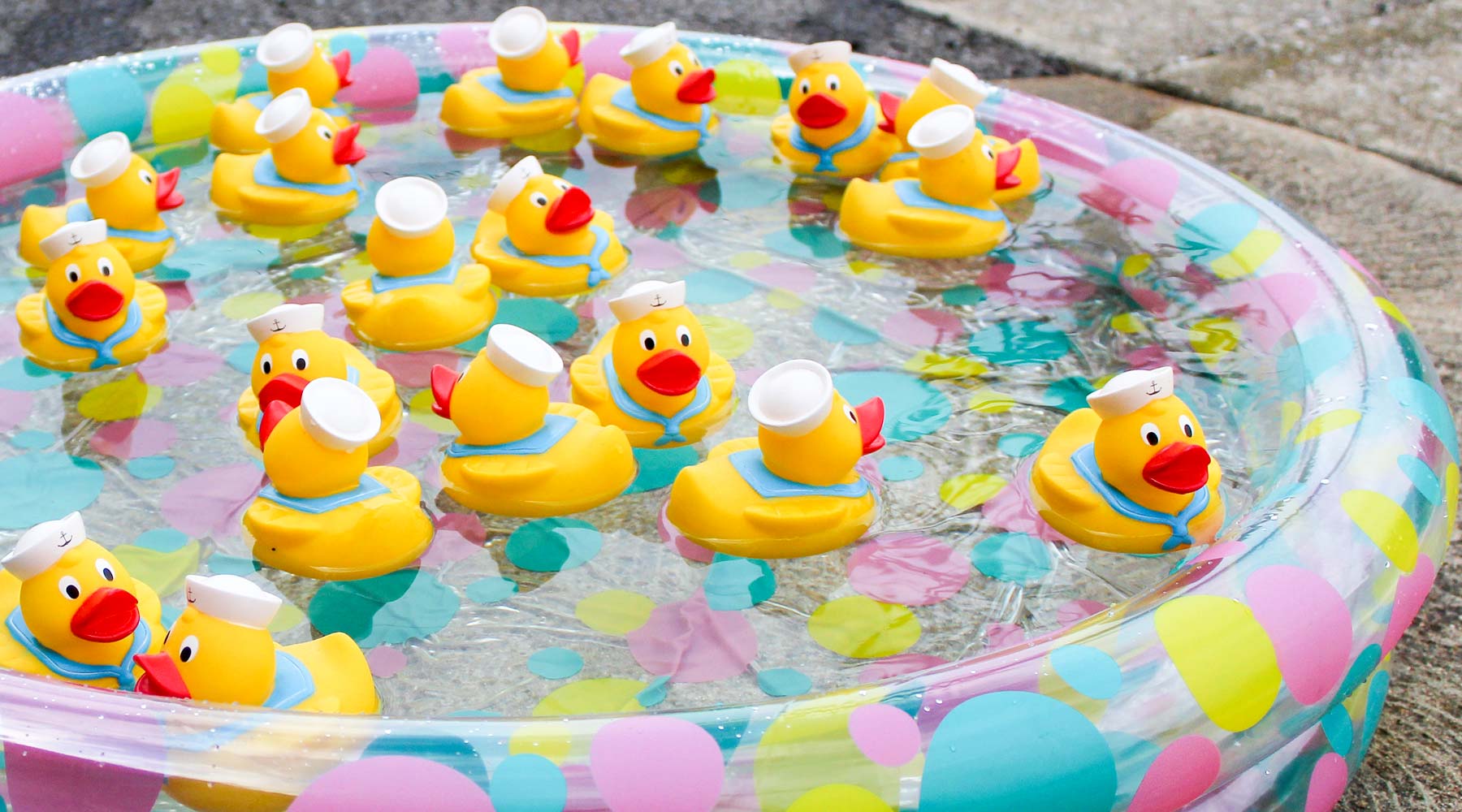 Free Photo  Toy duck fishing game with colorful toy ducks