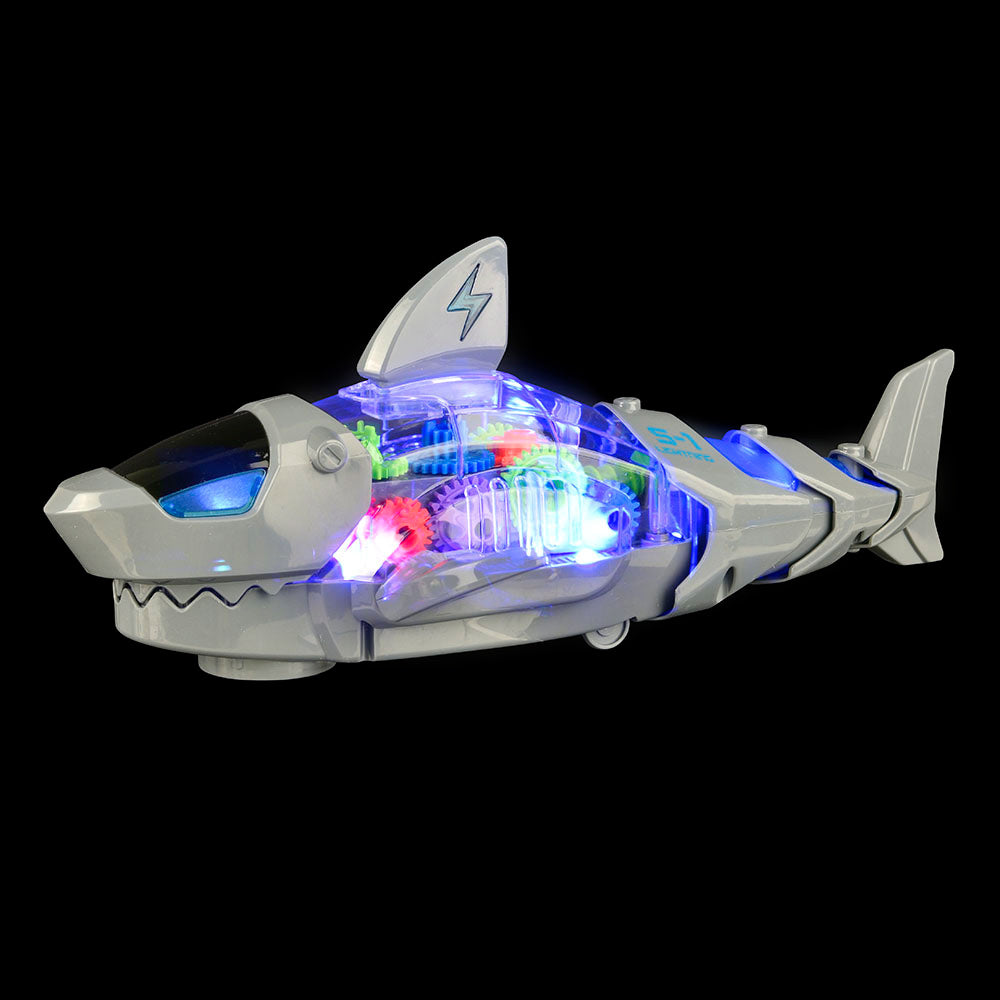 2024 Shark 12 Collection