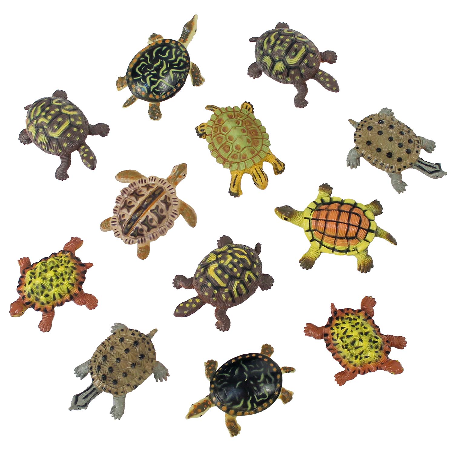 Turtle Assortment 2