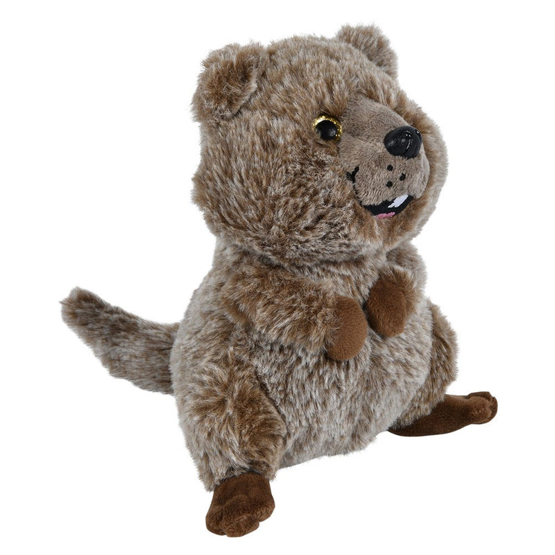 Plush Quokka Assorted 7"