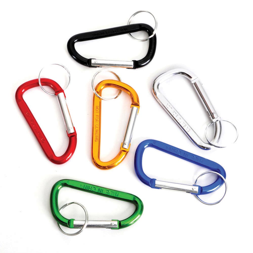 Carabiner Keychain 2